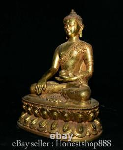 10,6 Ancien Tibet Bronze Doré Shakyamuni Amitabha Statue De Bouddha Sculpture