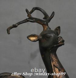10 Ancien Bronze Doré Feng Shui Longévité Cerf Pêche Chance Statue Sculpture