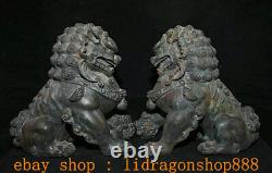 11.2 Rare Ancien Chinois Bronze Fengshui Foo Fu Chien Garde Lion Statue Paire