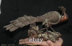 11 ancien feng shui peacock les paons bird fleur bronze statue de sculpture