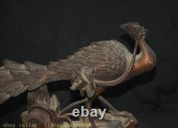 11 ancien feng shui peacock les paons bird fleur bronze statue de sculpture