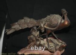 11 ancien feng shui peacock les paons bird fleur bronze statue de sculpture