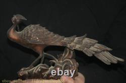 11 ancien feng shui peacock les paons bird fleur bronze statue de sculpture