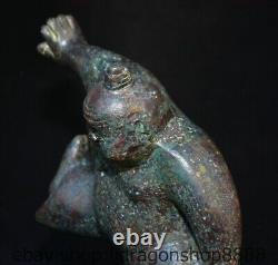 12 Chine ancienne étagère en bronze Japon Sumo nihomi statue sculpture