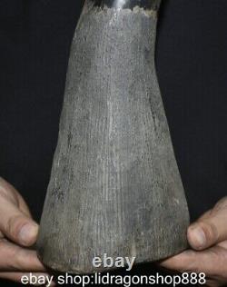 12 rare Chine ancienne corne de vache sculpture dynastie corne statue sculpture