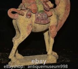 13.2 ancienne Chine Tang tricolore Tao dynastie animal camel statue sculpture