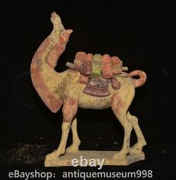 13.2 ancienne Chine Tang tricolore Tao dynastie animal camel statue sculpture