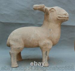 13 ancienne poterie peinte porcelaine mouton chèvre animal Statue Sculpture