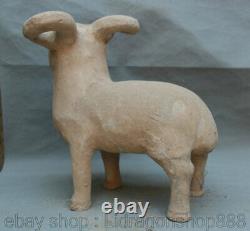 13 ancienne poterie peinte porcelaine mouton chèvre animal Statue Sculpture