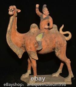 16.4 Chine ancienne Tang tricolore Tao dynastie Hu chameau statue sculpture