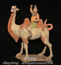 16.4 Chine ancienne Tang tricolore Tao dynastie Hu chameau statue sculpture