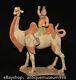 16.4 Chine Ancienne Tang Tricolore Tao Dynastie Hu Chameau Statue Sculpture