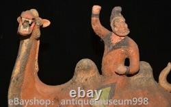 16.4 Chine ancienne Tang tricolore Tao dynastie Hu chameau statue sculpture