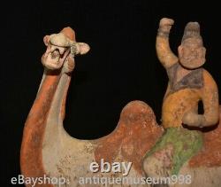 16.4 Chine ancienne Tang tricolore Tao dynastie Hu chameau statue sculpture