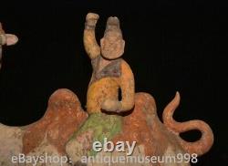 16.4 Chine ancienne Tang tricolore Tao dynastie Hu chameau statue sculpture