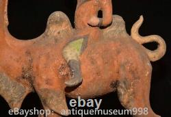 16.4 Chine ancienne Tang tricolore Tao dynastie Hu chameau statue sculpture