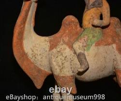 16.4 Chine ancienne Tang tricolore Tao dynastie Hu chameau statue sculpture