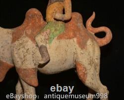 16.4 Chine ancienne Tang tricolore Tao dynastie Hu chameau statue sculpture