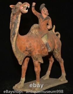 16.4 Chine ancienne Tang tricolore Tao dynastie Hu chameau statue sculpture