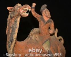 16.4 Chine ancienne Tang tricolore Tao dynastie Hu chameau statue sculpture