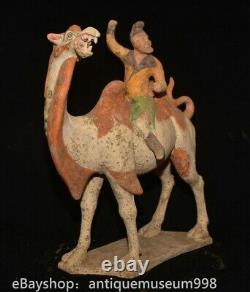 16.4 Chine ancienne Tang tricolore Tao dynastie Hu chameau statue sculpture