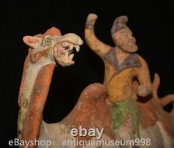 16.4 Chine ancienne Tang tricolore Tao dynastie Hu chameau statue sculpture