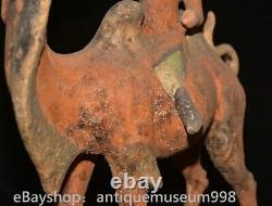 16.4 Chine ancienne Tang tricolore Tao dynastie Hu chameau statue sculpture