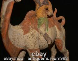 16.4 Chine ancienne Tang tricolore Tao dynastie Hu chameau statue sculpture
