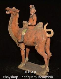 16.4 Chine ancienne Tang tricolore Tao dynastie Hu chameau statue sculpture