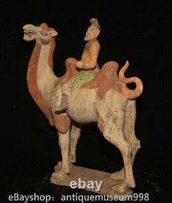 16.4 Chine ancienne Tang tricolore Tao dynastie Hu chameau statue sculpture