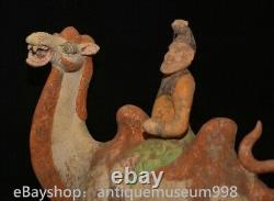 16.4 Chine ancienne Tang tricolore Tao dynastie Hu chameau statue sculpture