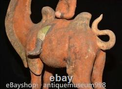 16.4 Chine ancienne Tang tricolore Tao dynastie Hu chameau statue sculpture