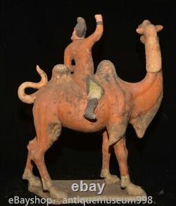 16.4 Chine ancienne Tang tricolore Tao dynastie Hu chameau statue sculpture