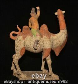 16.4 Chine ancienne Tang tricolore Tao dynastie Hu chameau statue sculpture