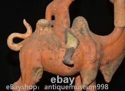 16.4 Chine ancienne Tang tricolore Tao dynastie Hu chameau statue sculpture