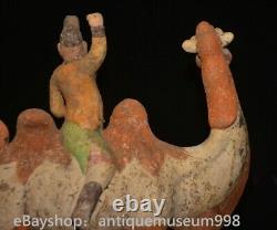 16.4 Chine ancienne Tang tricolore Tao dynastie Hu chameau statue sculpture
