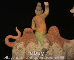 16.4 Chine ancienne Tang tricolore Tao dynastie Hu chameau statue sculpture