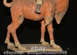 16.4 Chine ancienne Tang tricolore Tao dynastie Hu chameau statue sculpture