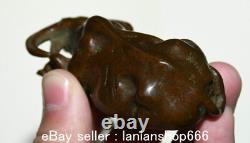 3.2 ancienne sculpture chinoise en cuivre violet Feng Shui animal vache statue