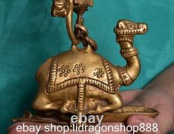 4.8 ancienne Chine cuivre dynastie animaux camel huile lampe statue sculpture