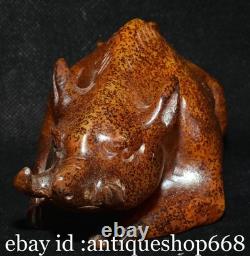 5.6 ancienne Chine Jade sculpture dynastie rhinocéros taureau statue
