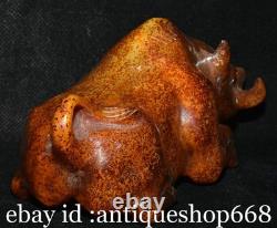 5.6 ancienne Chine Jade sculpture dynastie rhinocéros taureau statue