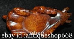 5.6 ancienne Chine Jade sculpture dynastie rhinocéros taureau statue