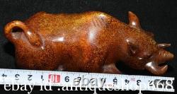 5.6 ancienne Chine Jade sculpture dynastie rhinocéros taureau statue