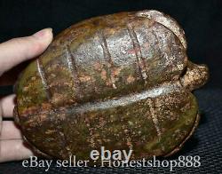 6,4 ancienne culture chinoise Hongshan Jade tortue tortue statue sculpture