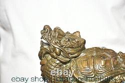 6.4 ancienne sculpture chinoise en cuivre Feng Shui Dragon tortue bête Statue