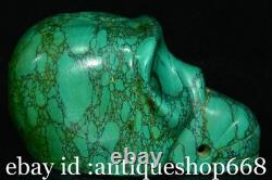 6 Ancienne Chine Turquoise sculpture dynastie crâne tête statue