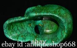 6 Ancienne Chine Turquoise sculpture dynastie crâne tête statue