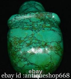 6 Ancienne Chine Turquoise sculpture dynastie crâne tête statue