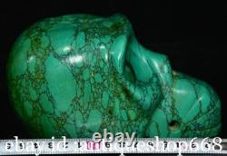 6 Ancienne Chine Turquoise sculpture dynastie crâne tête statue